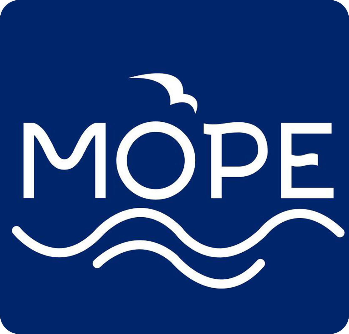 Мастер-классы по лепке из глины, живописи, росписи игрушек от 25р в "Море" в Могилеве